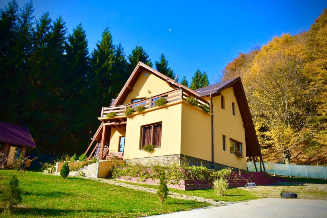 Green Property Dofteana Luaran gambar