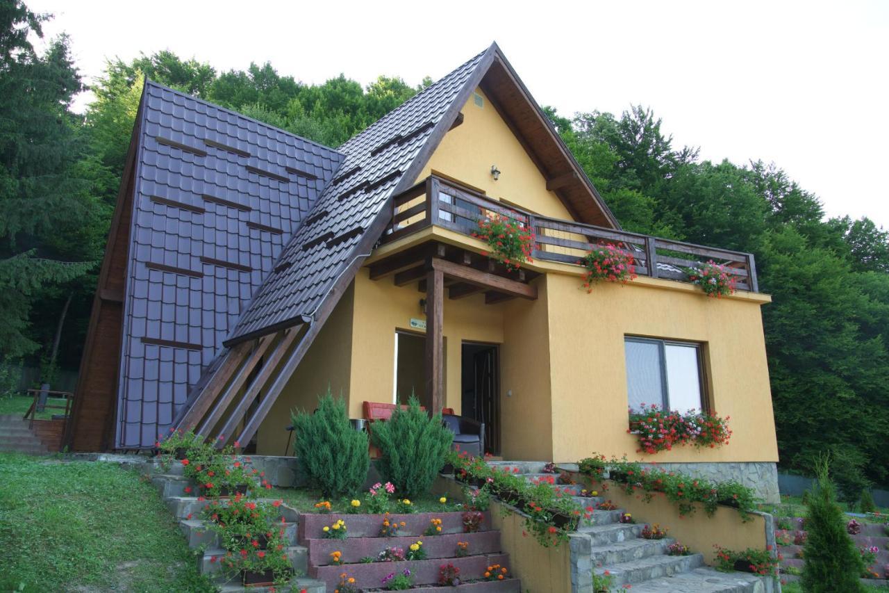 Green Property Dofteana Luaran gambar